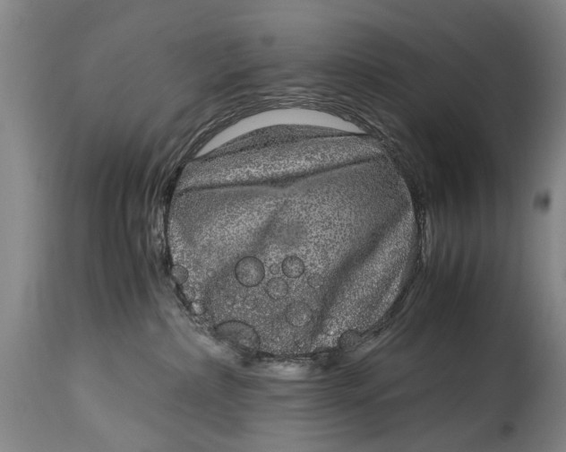 X0000115120236200911171335