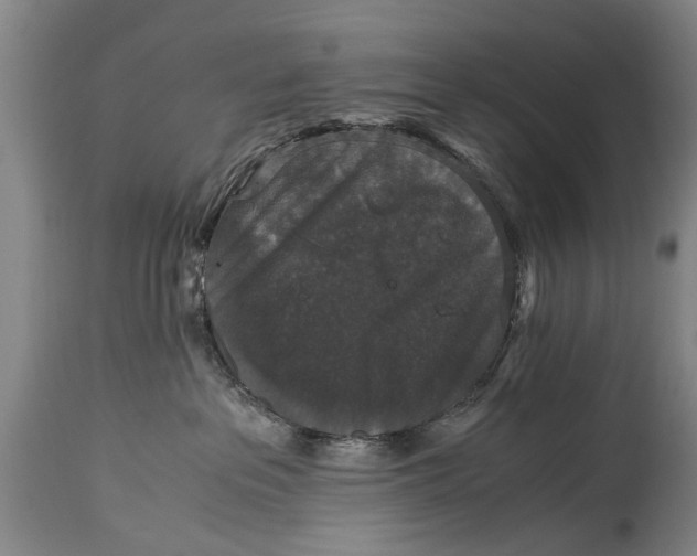 X0000115120237200911171335