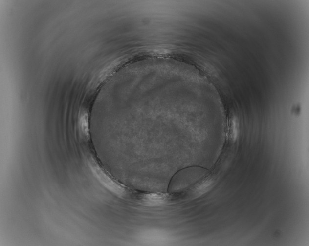 X0000115120238200911171335