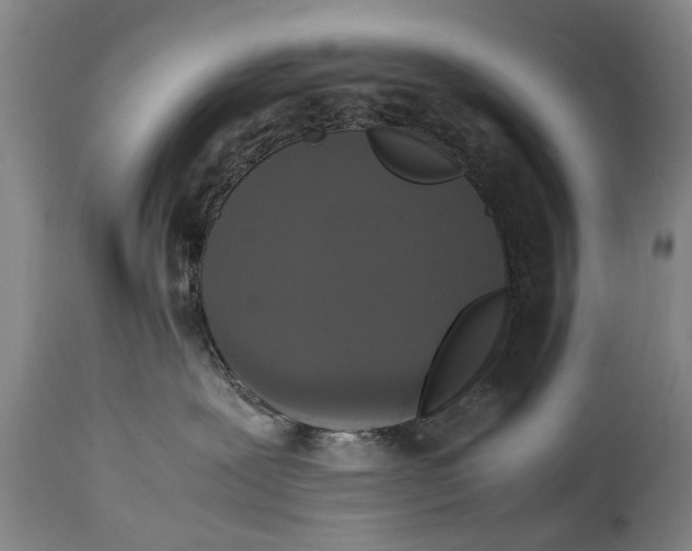 X0000115120239200911171335
