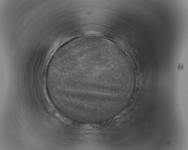 X0000115120241200911171334