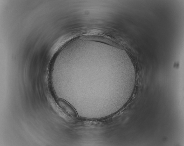 X0000115120242200911171334