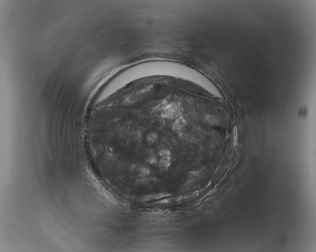 X0000115120243200911171334