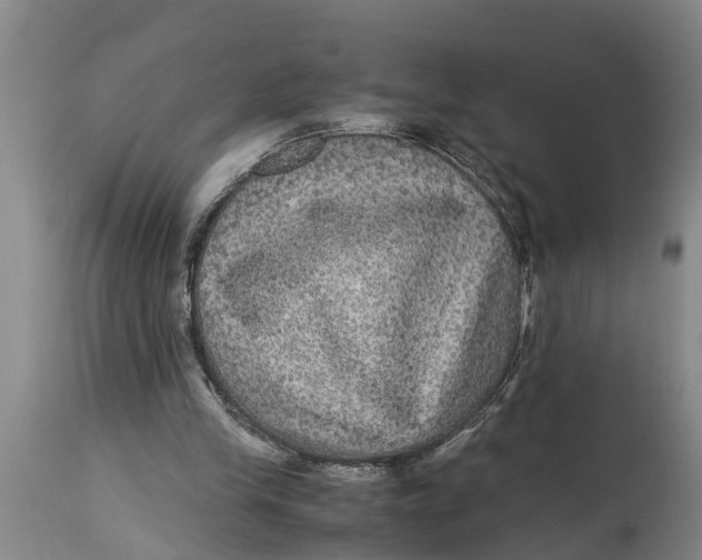 X0000115120245200911171334