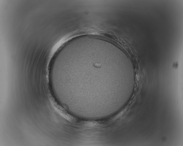 X0000115120246200911171334