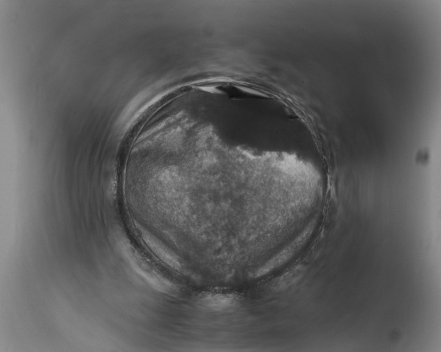 X0000115120247200911171334
