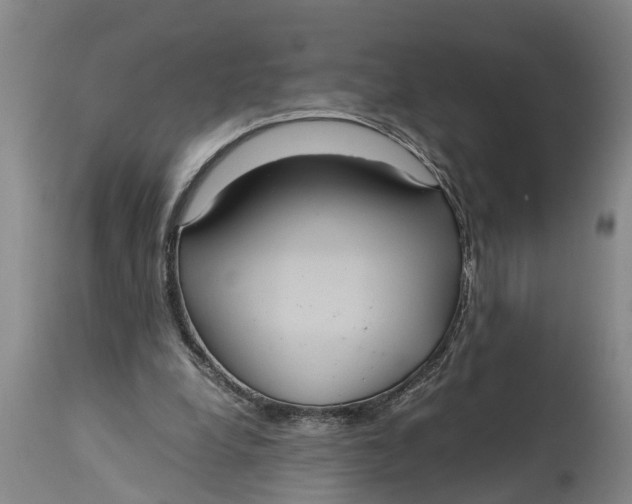 X0000115120248200911171334