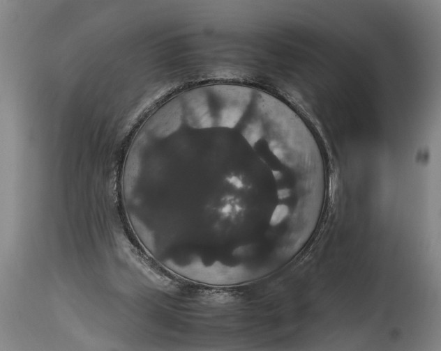 X0000115120249200911171334