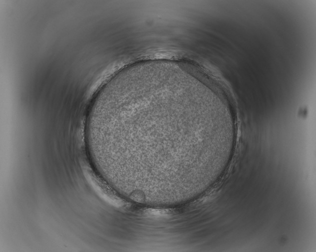 X0000115120250200911171334