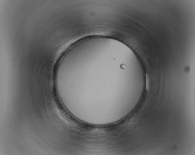 X0000115120252200911171334