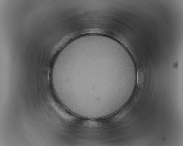 X0000115120253200911171334