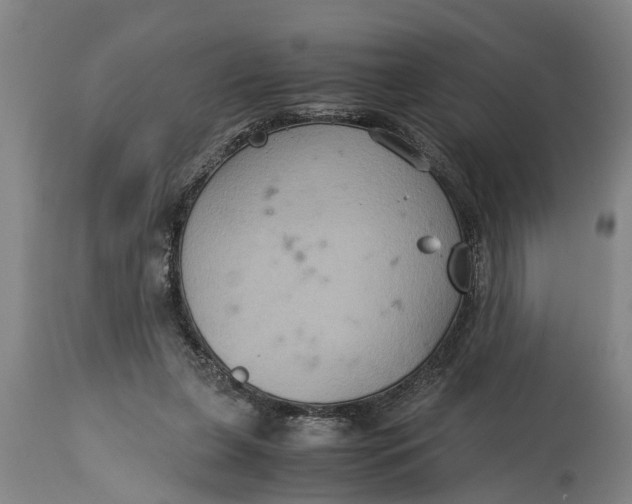 X0000115120255200911171334
