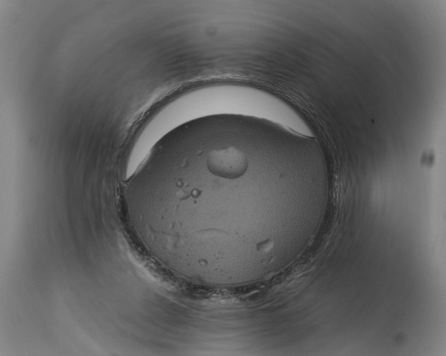 X0000115120256200911171334