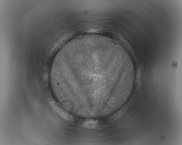 X0000115120257200911171334