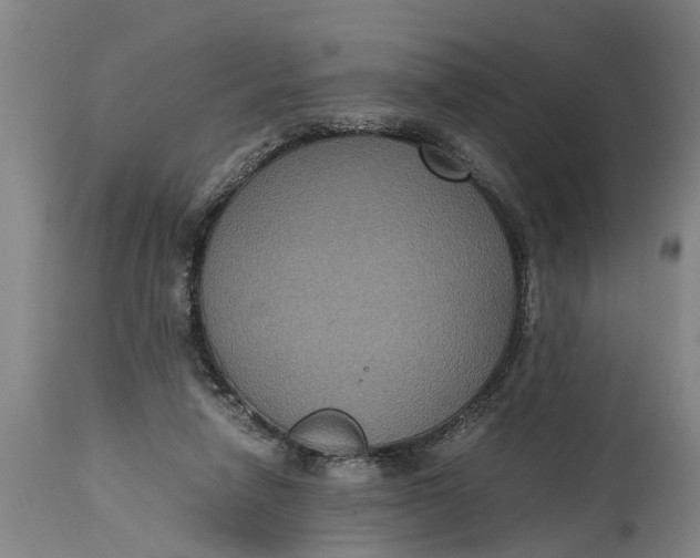 X0000115120258200911171334