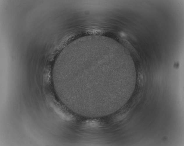 X0000115120259200911171335