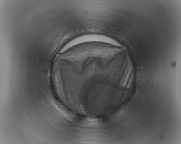 X0000115120260200911171335