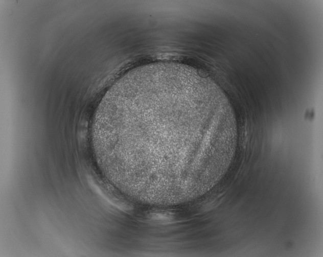 X0000115120263200911171335