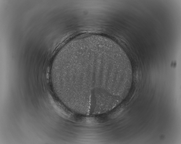 X0000115120264200911171335