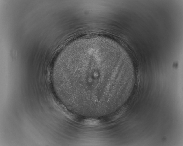 X0000115120266200911171335