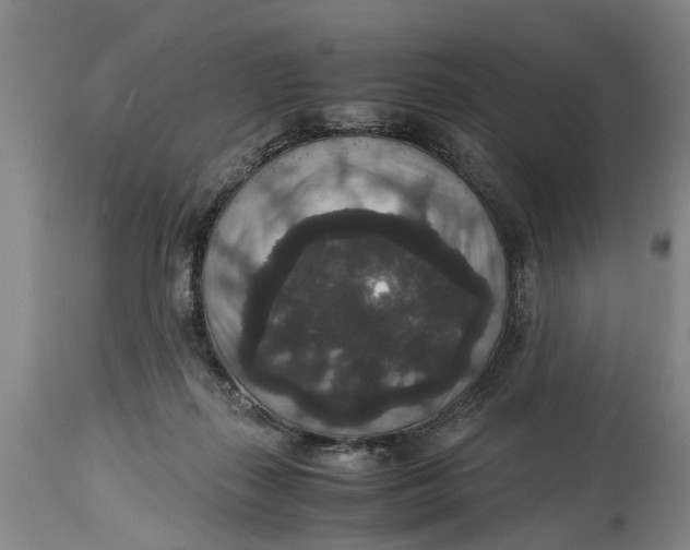 X0000115120267200911171335