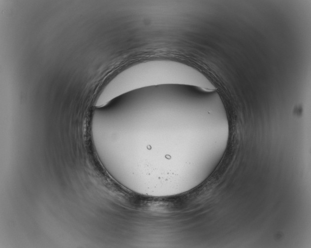 X0000115120268200911171335