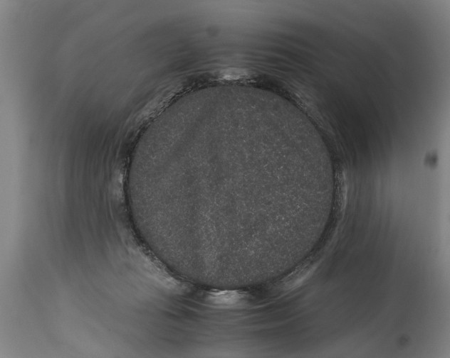 X0000115120269200911171335