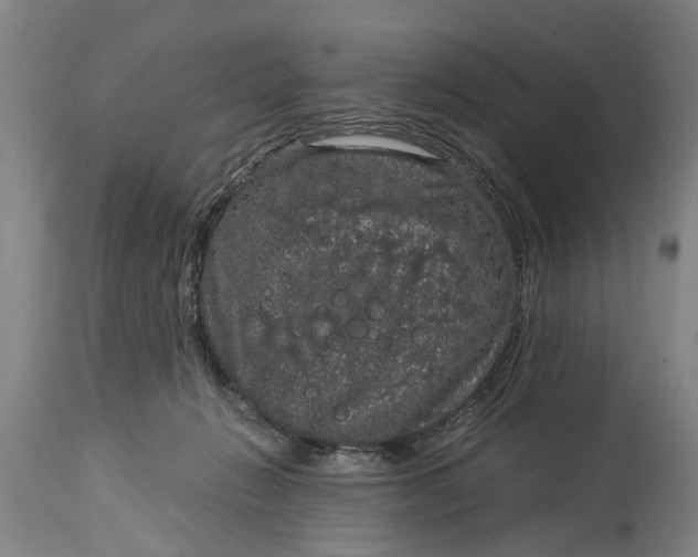 X0000115120270200911171335