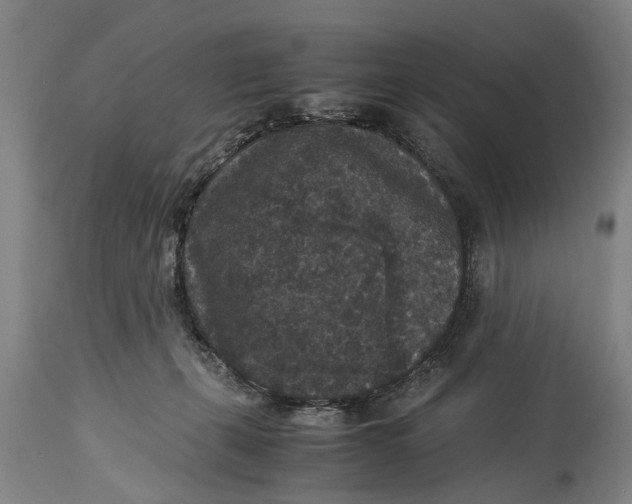 X0000115120271200911171335