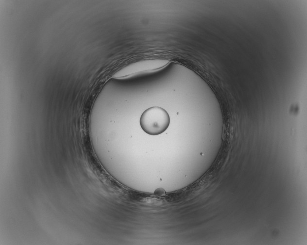 X0000115120272200911171335