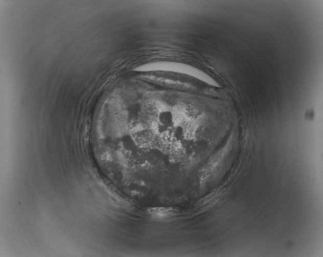 X0000115120273200911171335