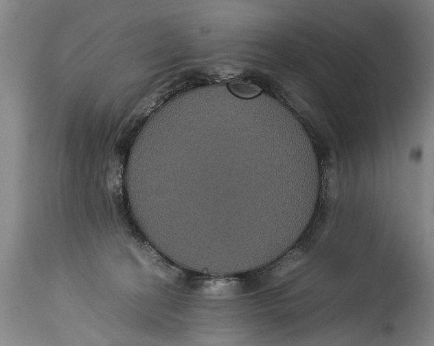 X0000115120274200911171335