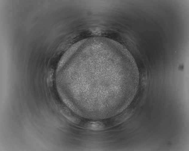 X0000115120275200911171335