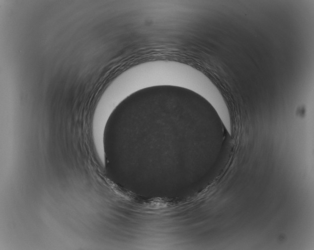 X0000115120276200911171335