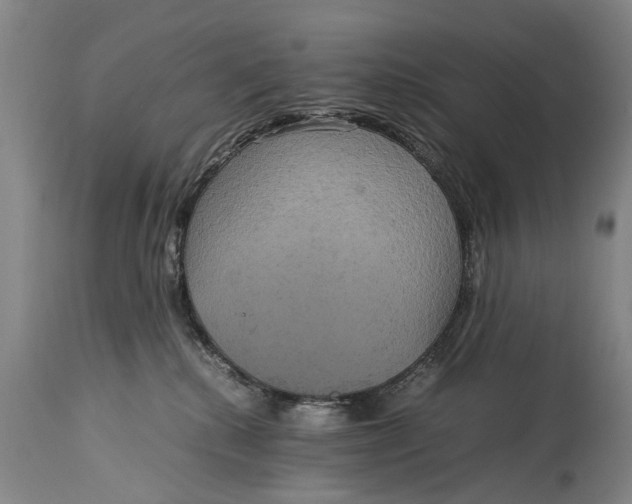 X0000115120280200911171335