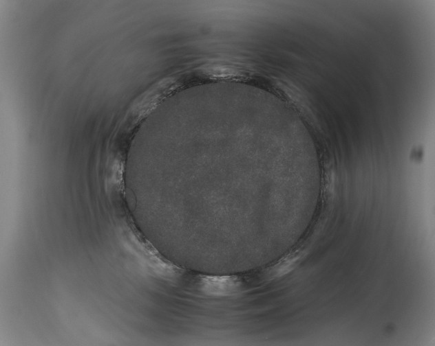 X0000115120281200911171335