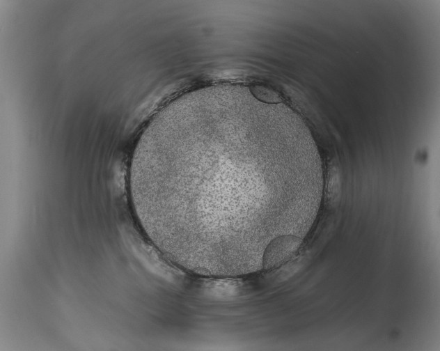X0000115120282200911171335