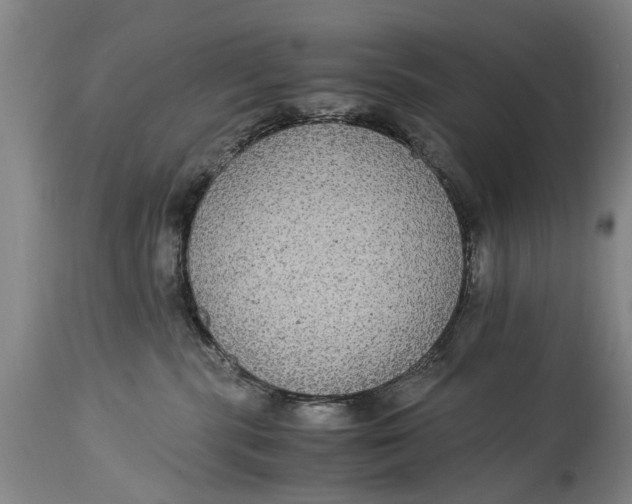 X0000115120283200911171335