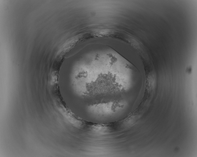X0000115120284200911171335