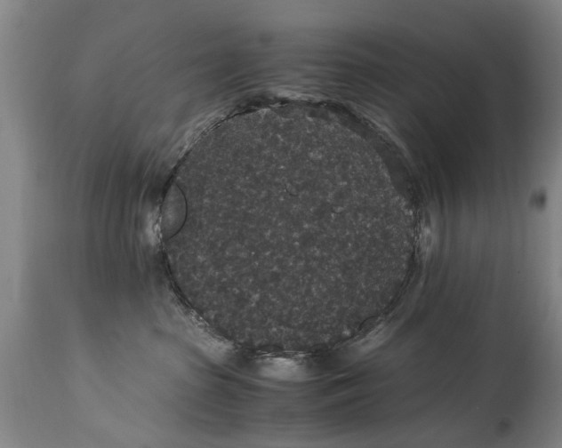 X0000115120285200911171335