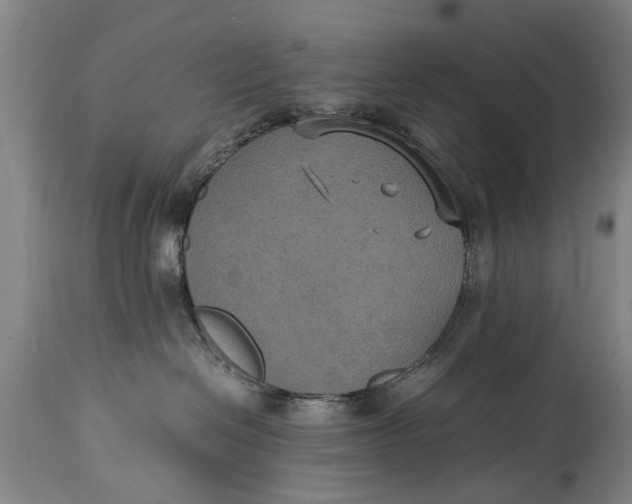 X0000115120286200911171335