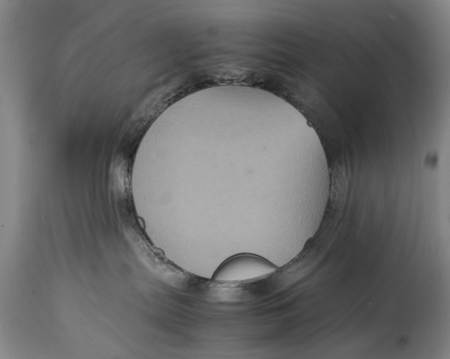 X0000115120287200911171335