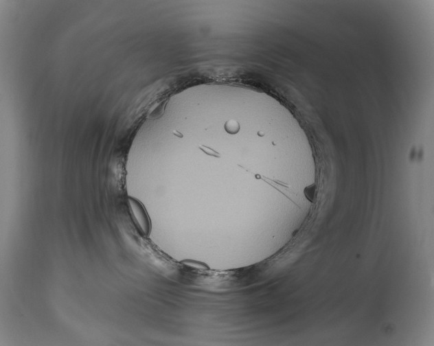 X0000115120288200911171335