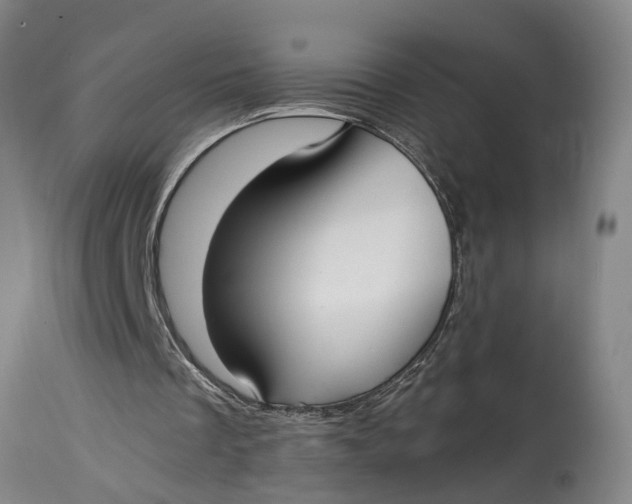 X0000115120289200911171334
