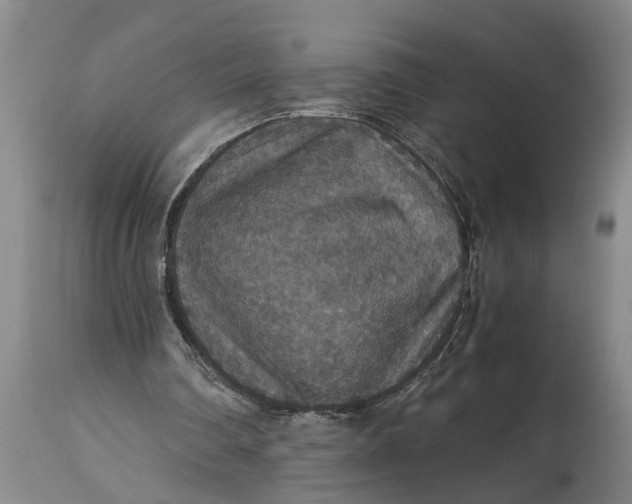 X0000115120290200911171334