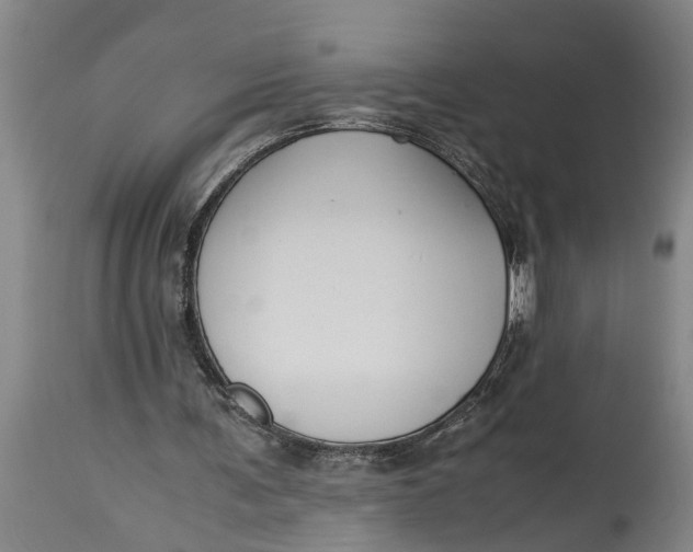 X0000115120291200911171334