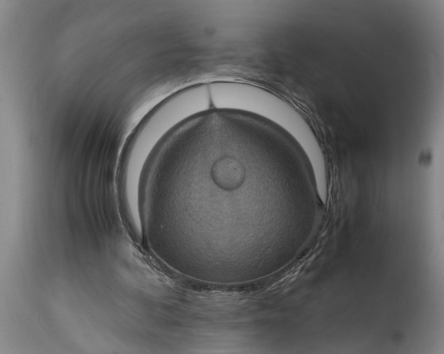 X0000115120292200911171334