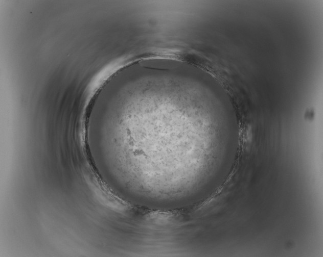 X0000115120294200911171334