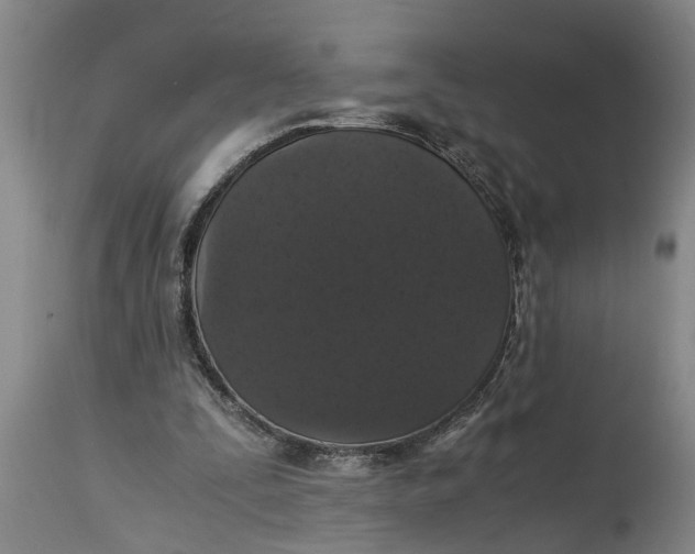 X0000115120295200911171334