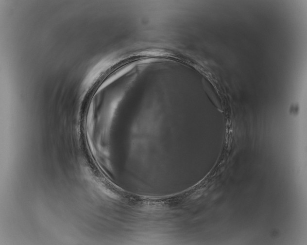 X0000115120296200911171334
